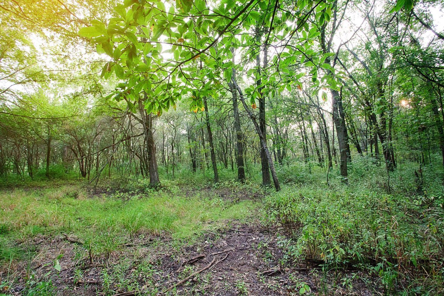 3818-lot 82 167th Avenue, Lowell, IN 46356