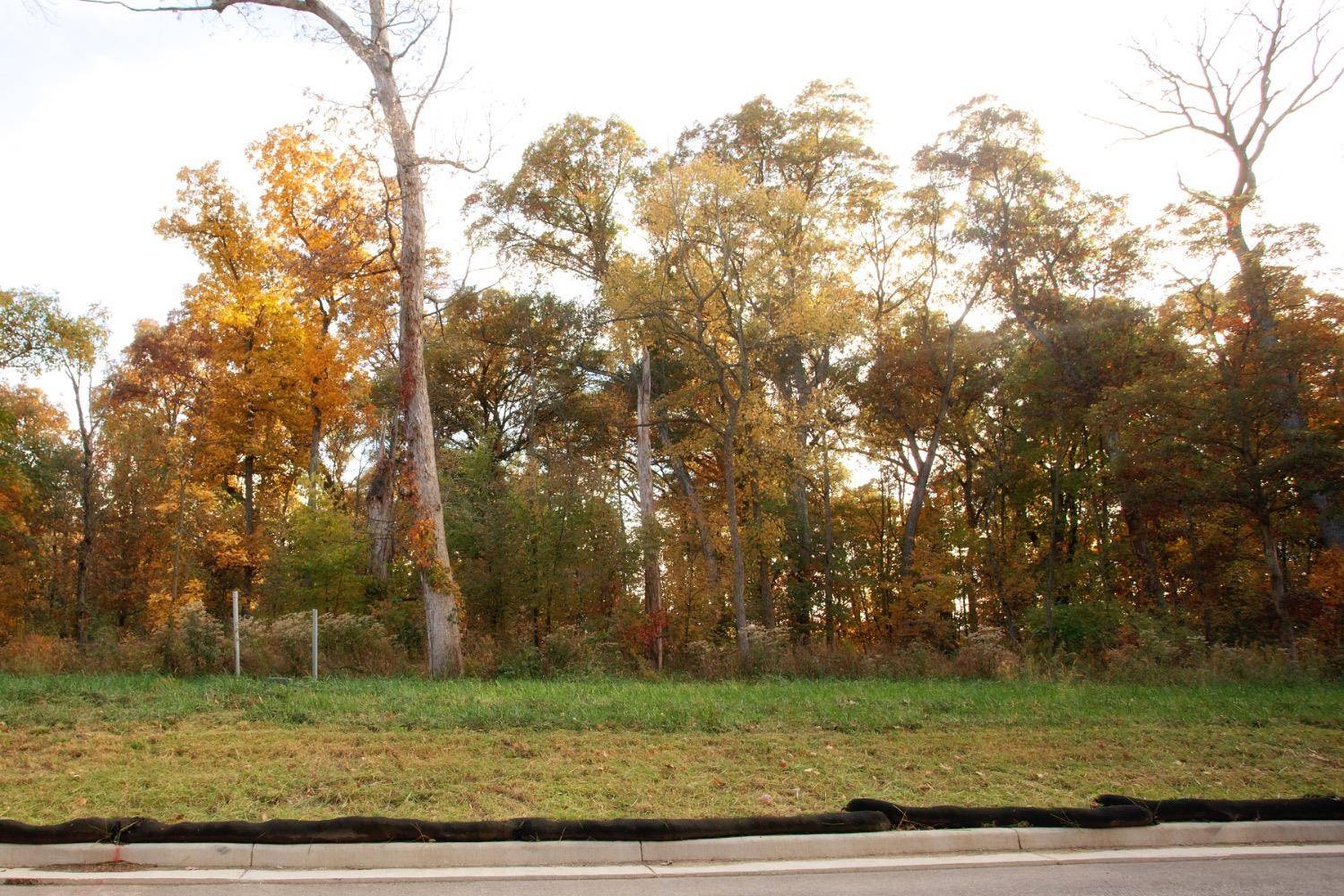 3975-lot 88 166th Lane, Lowell, IN 46356