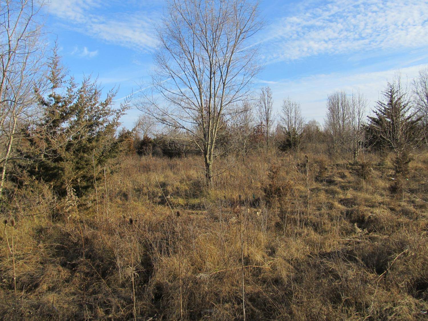 0-lot 12 Grant Street, Merrillville, IN 46410