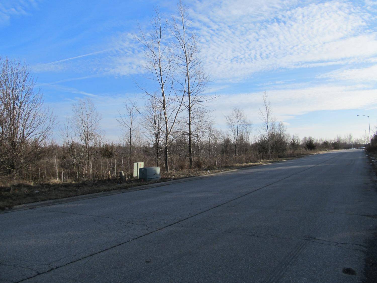 0-lot 12 Grant Street, Merrillville, IN 46410