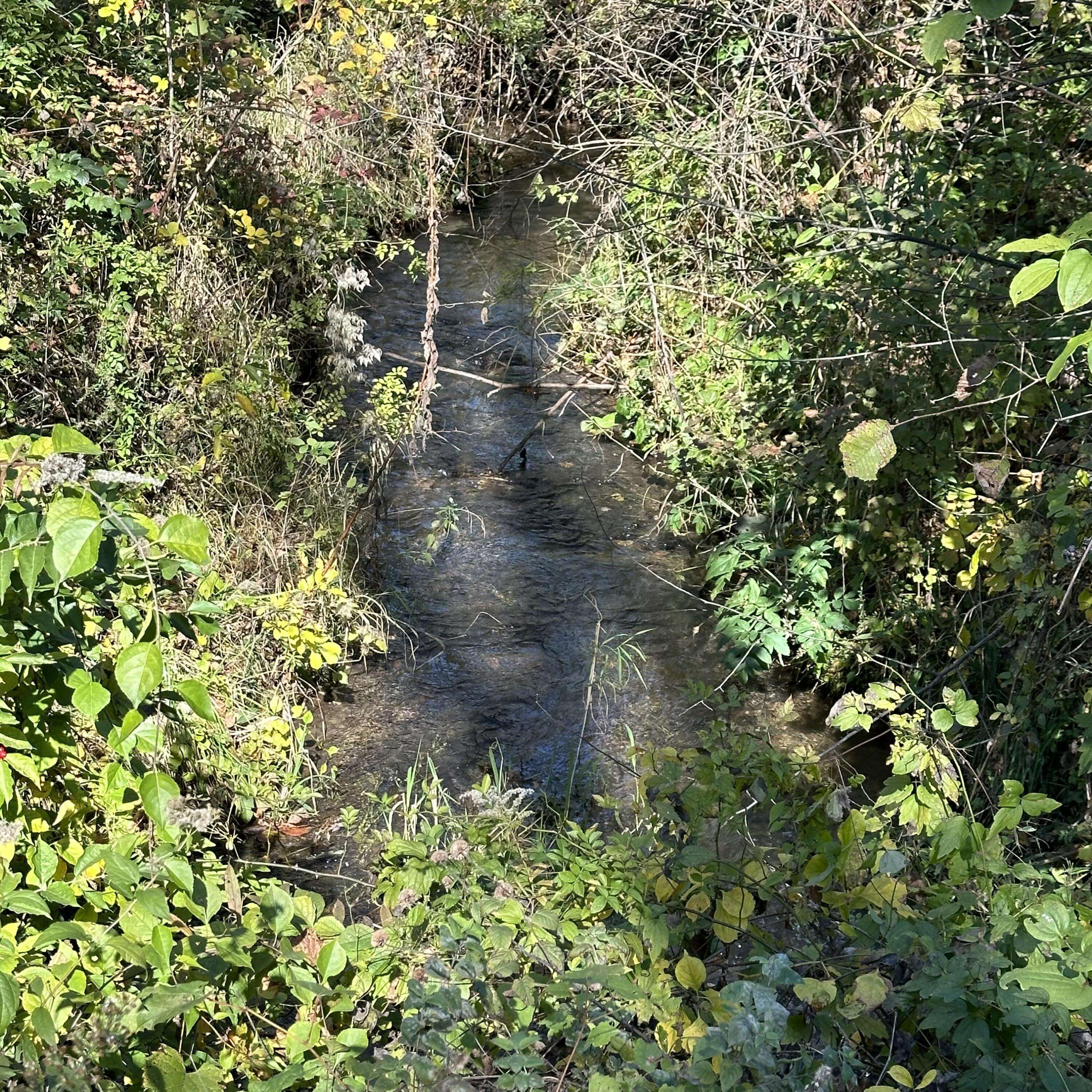0 Nicomus Path, La Porte, IN 46350