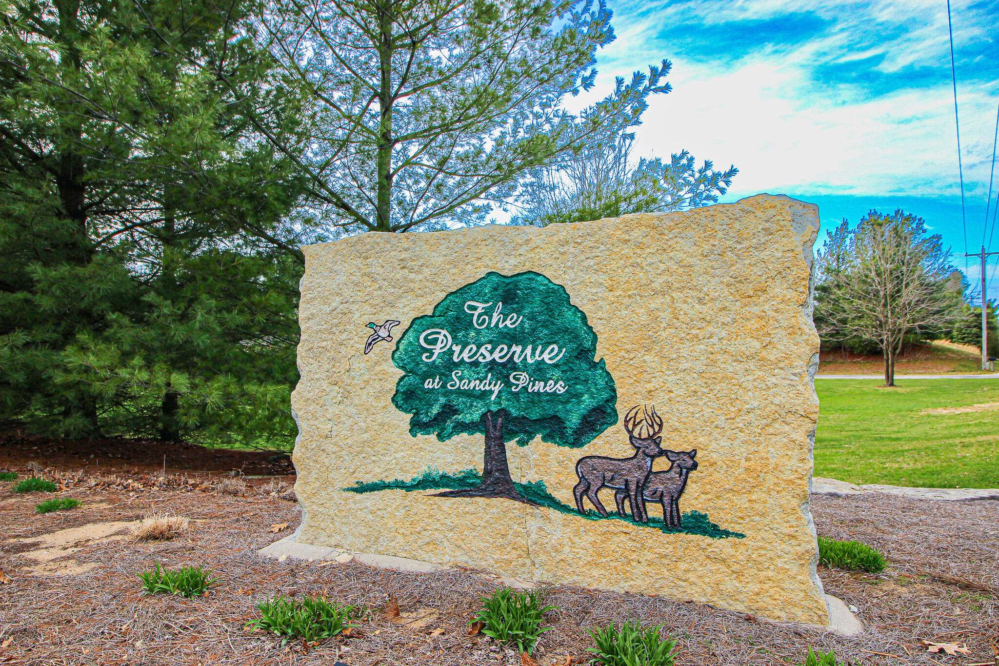 10264 Forest Hills Drive, Demotte, IN 46310