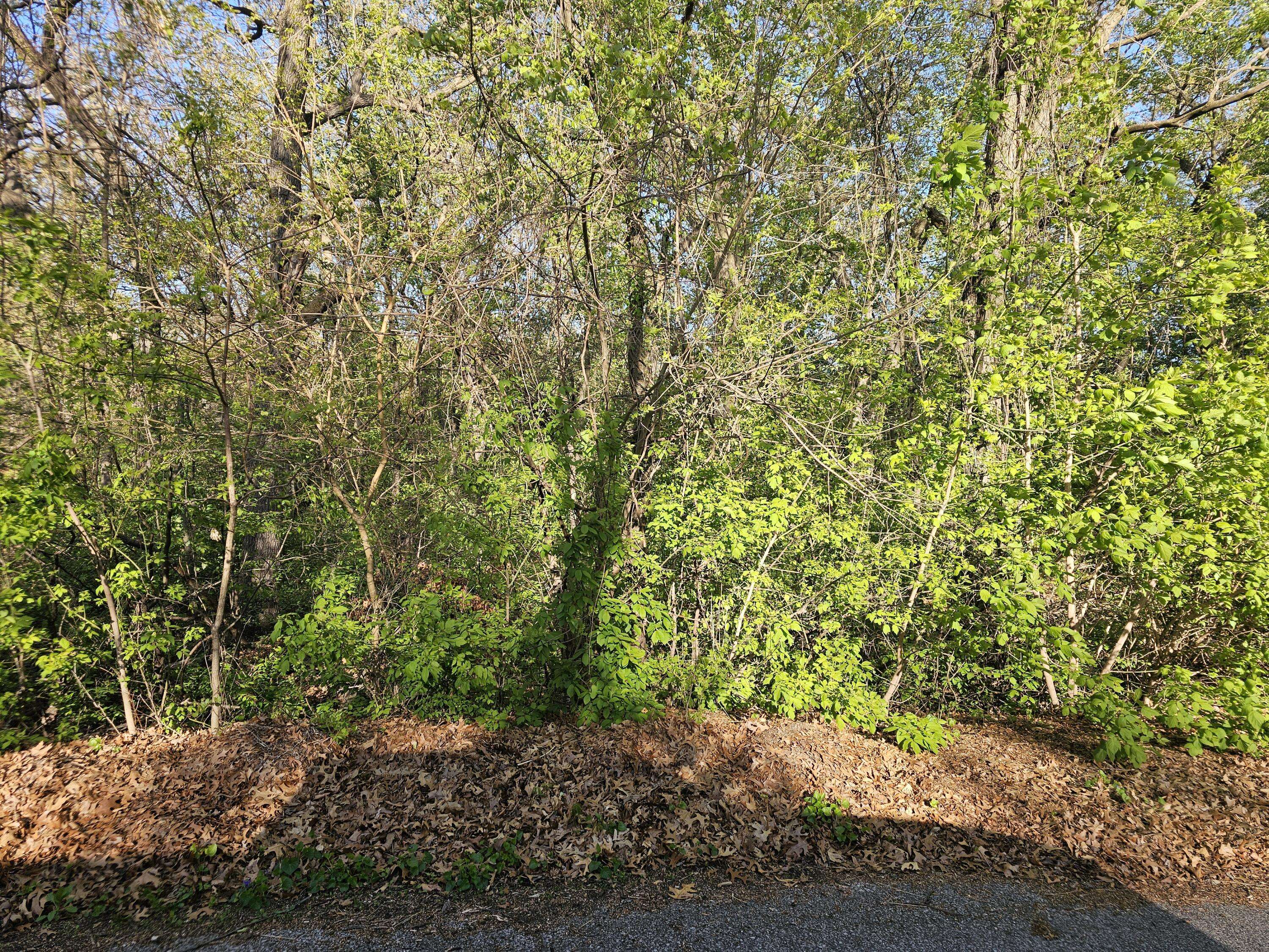 3100 Kosciusko Street, Hobart, IN 46342