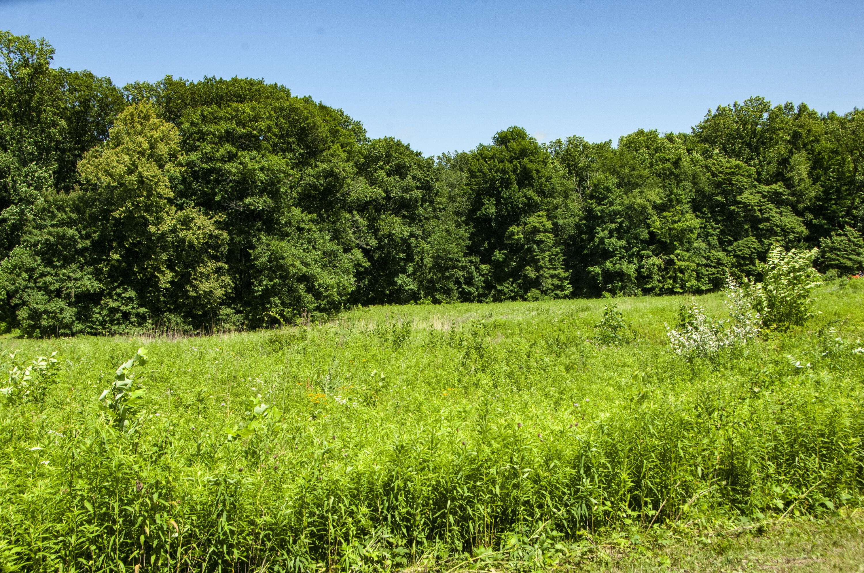 6864 N Nature Lane, La Porte, IN 46350