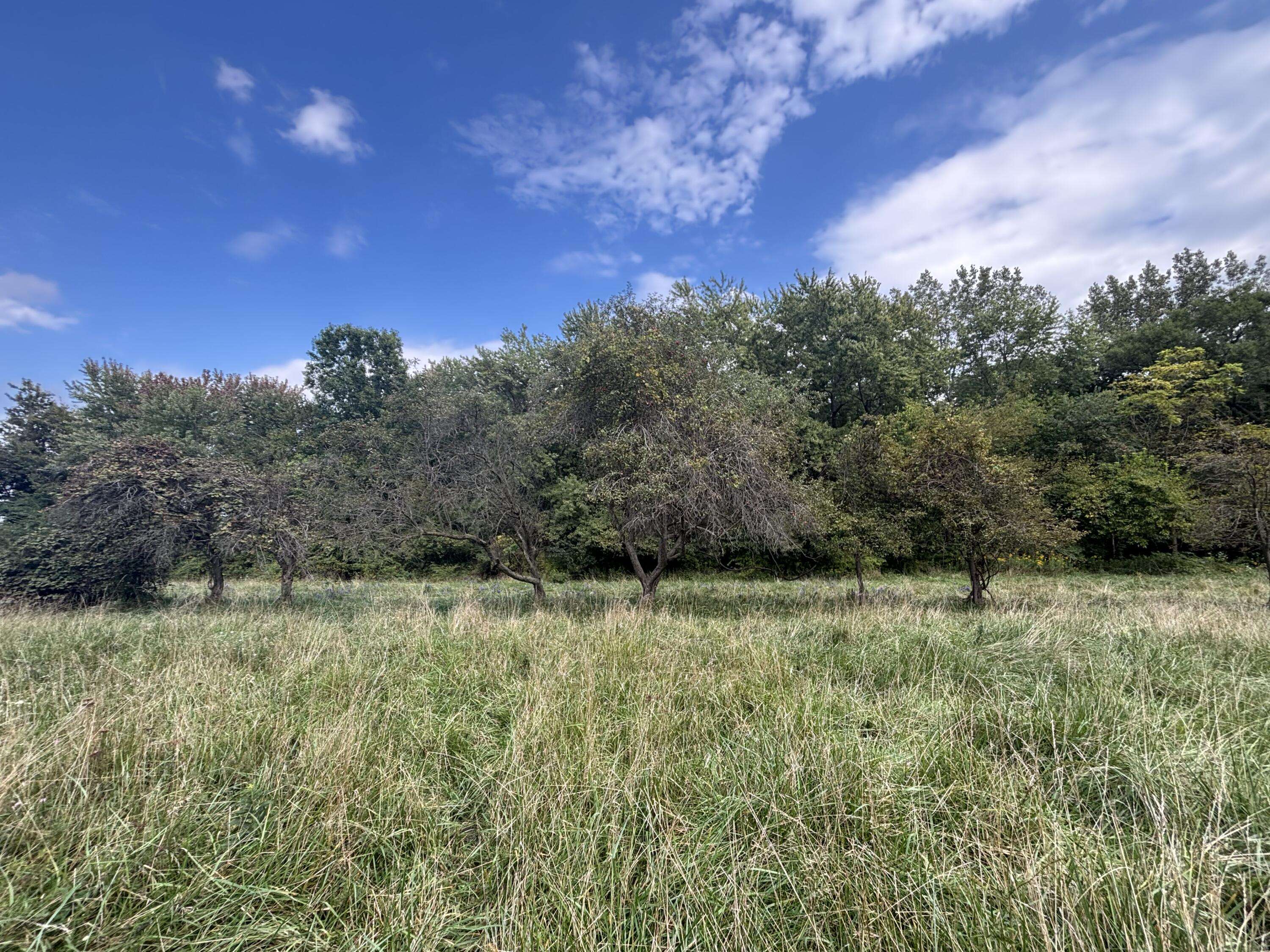 4300 Roosevelt Place, Gary, IN 46408