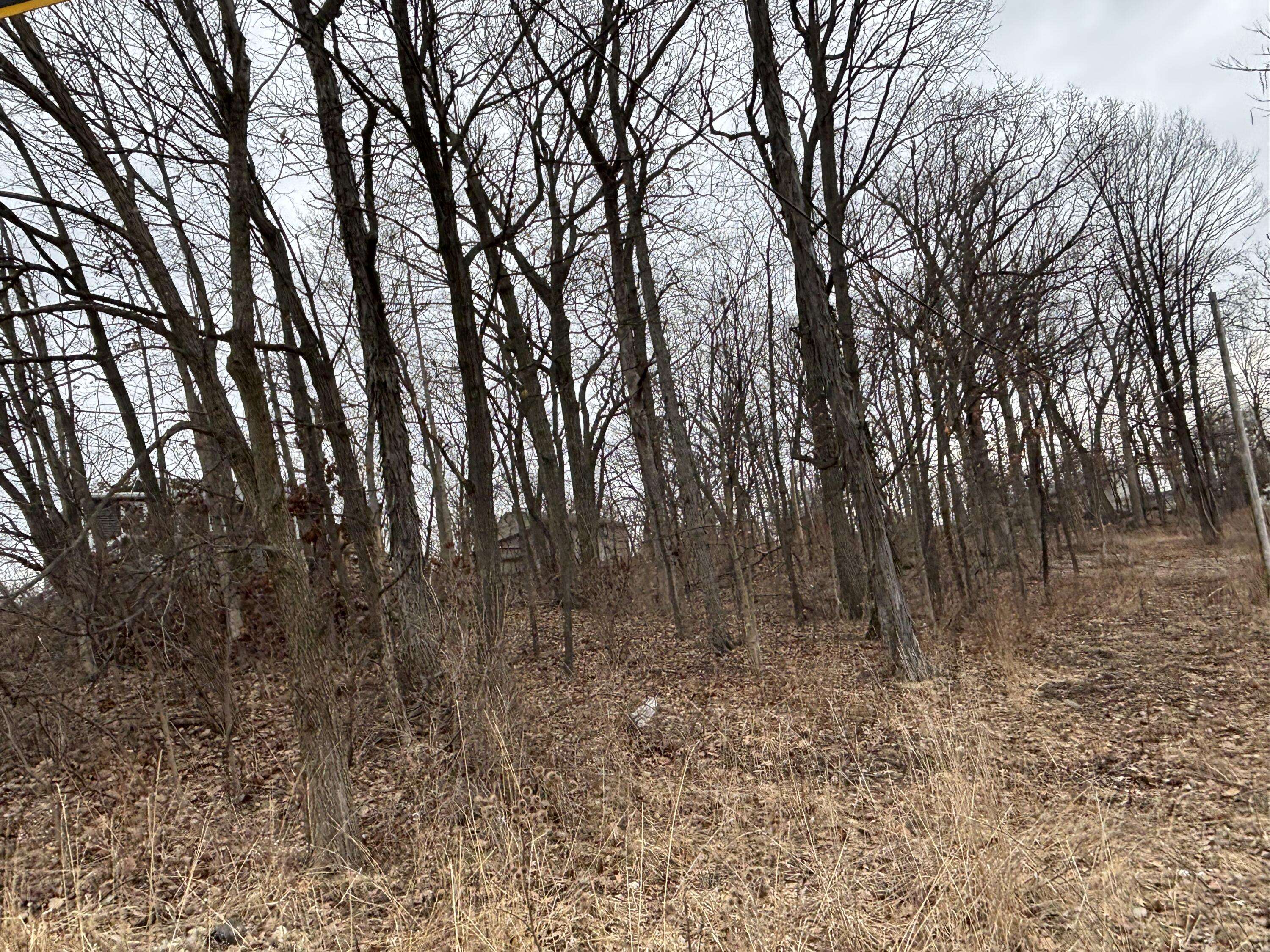 0 W 128th PL, Cedar Lake, IN 46303