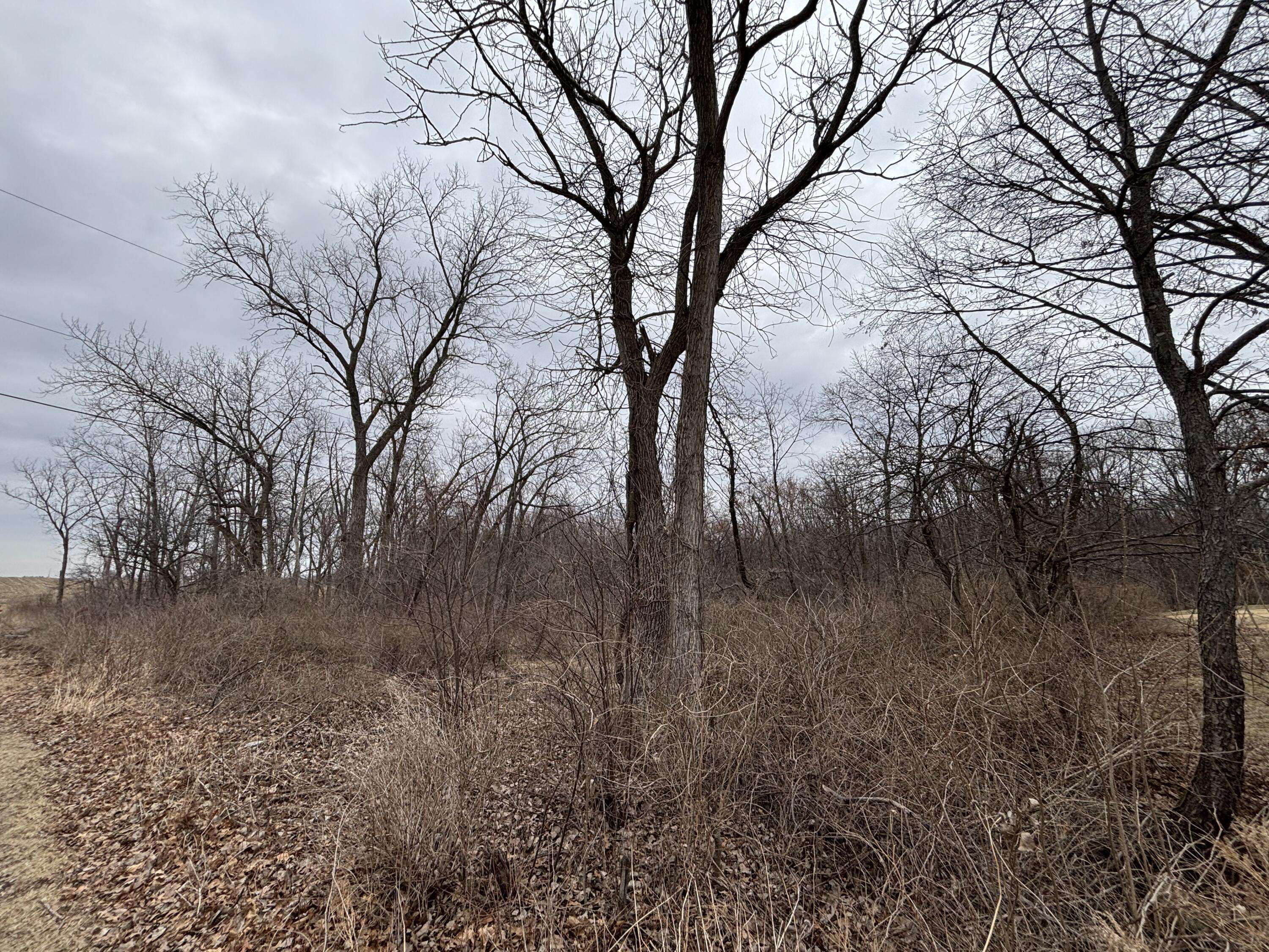 11905 Mccook Street, Cedar Lake, IN 46303