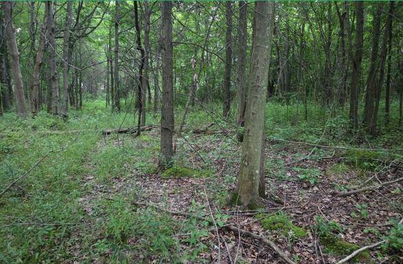 1300 N, Chesterton, IN 46304
