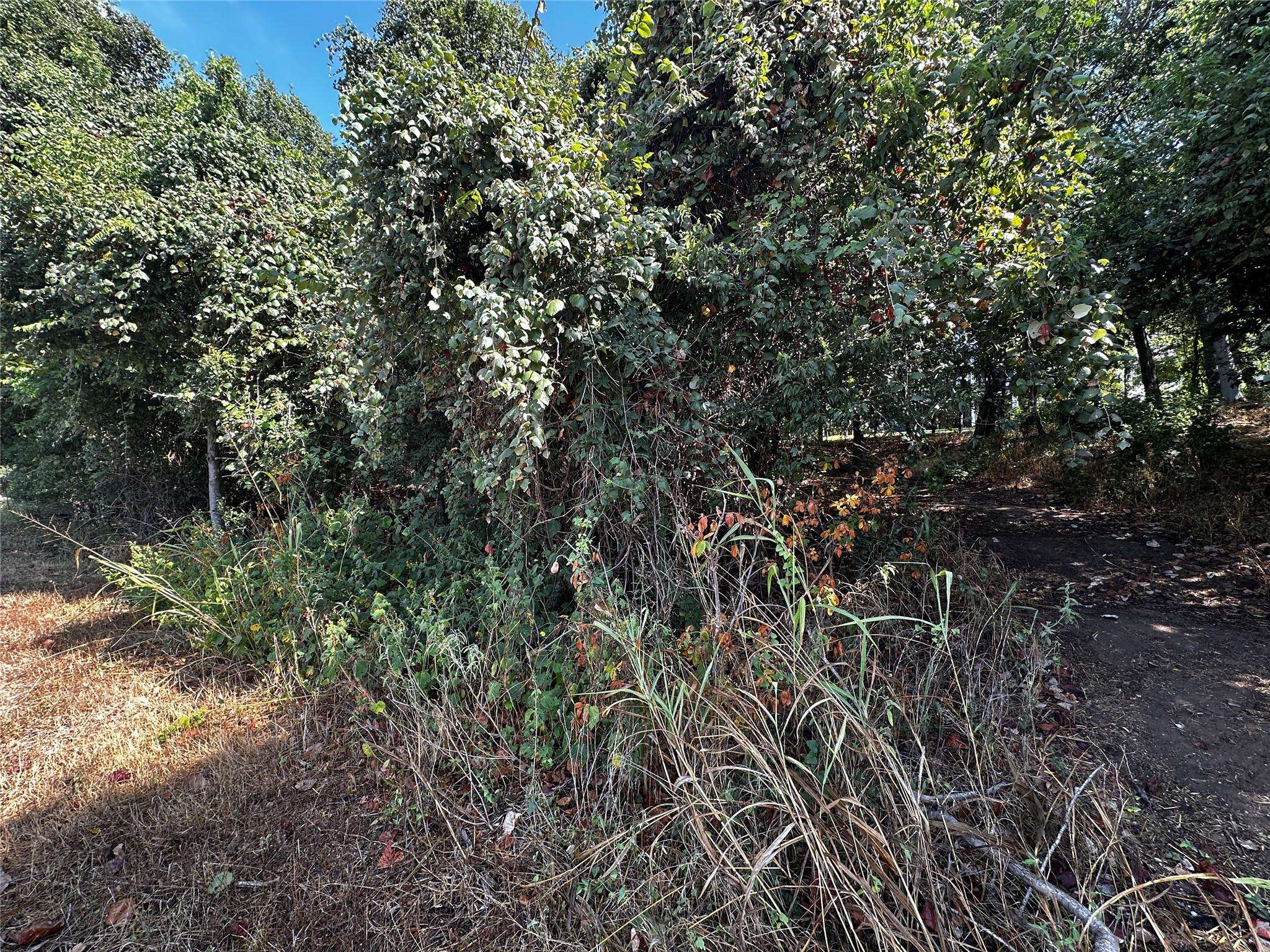 392 Riverside DR, Bastrop, TX 78602