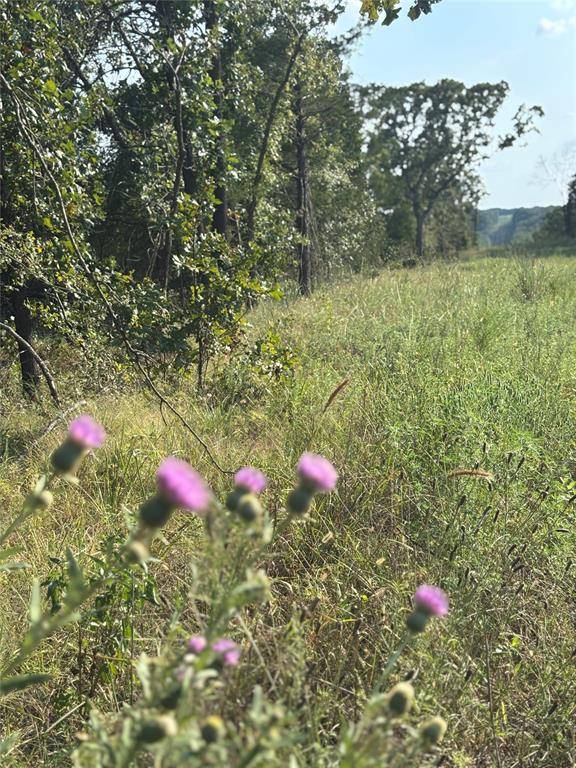 7507 E 137 RD, Holdenville, OK 74848