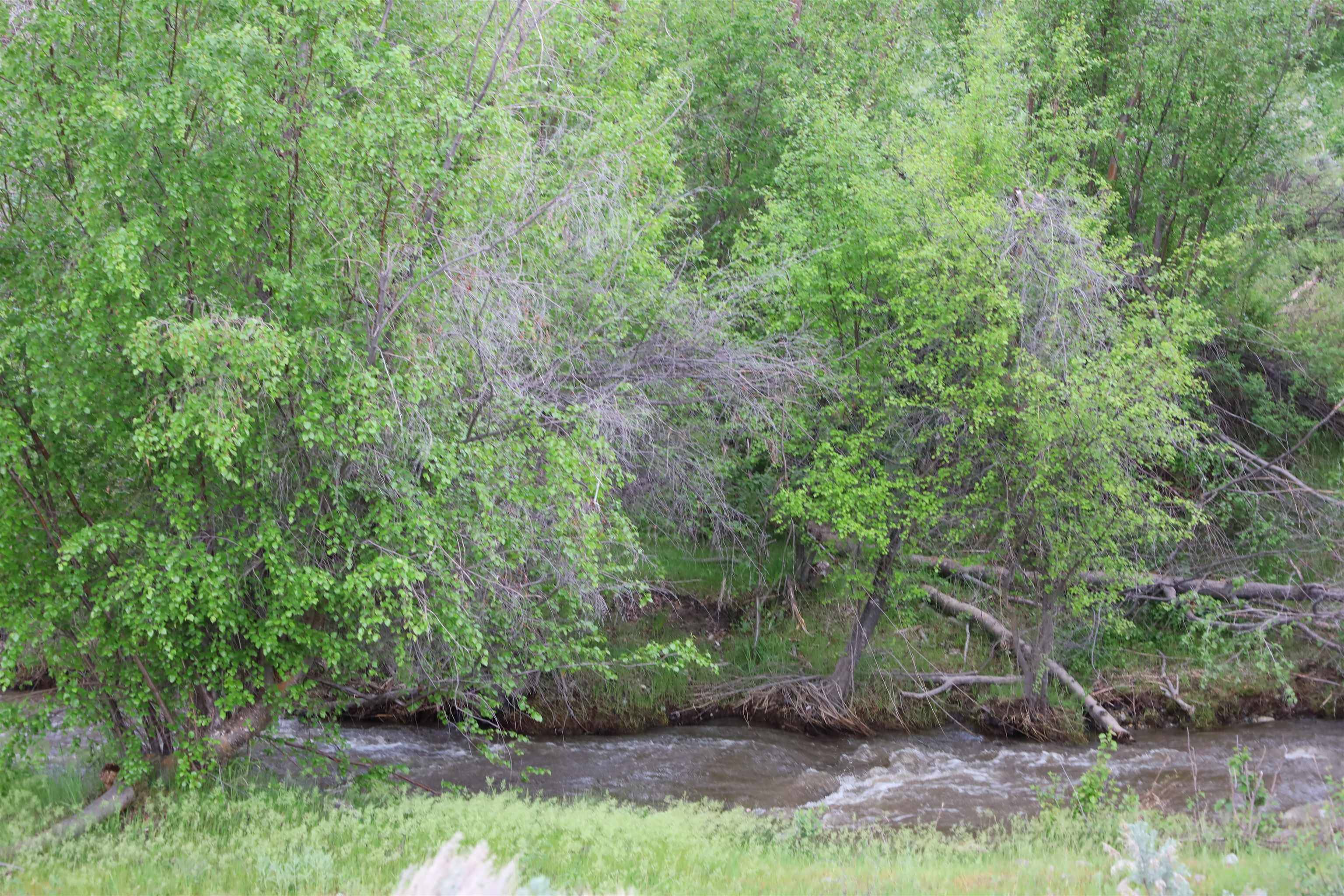 734 Tunk Creek Rd, Riverside, WA 98849