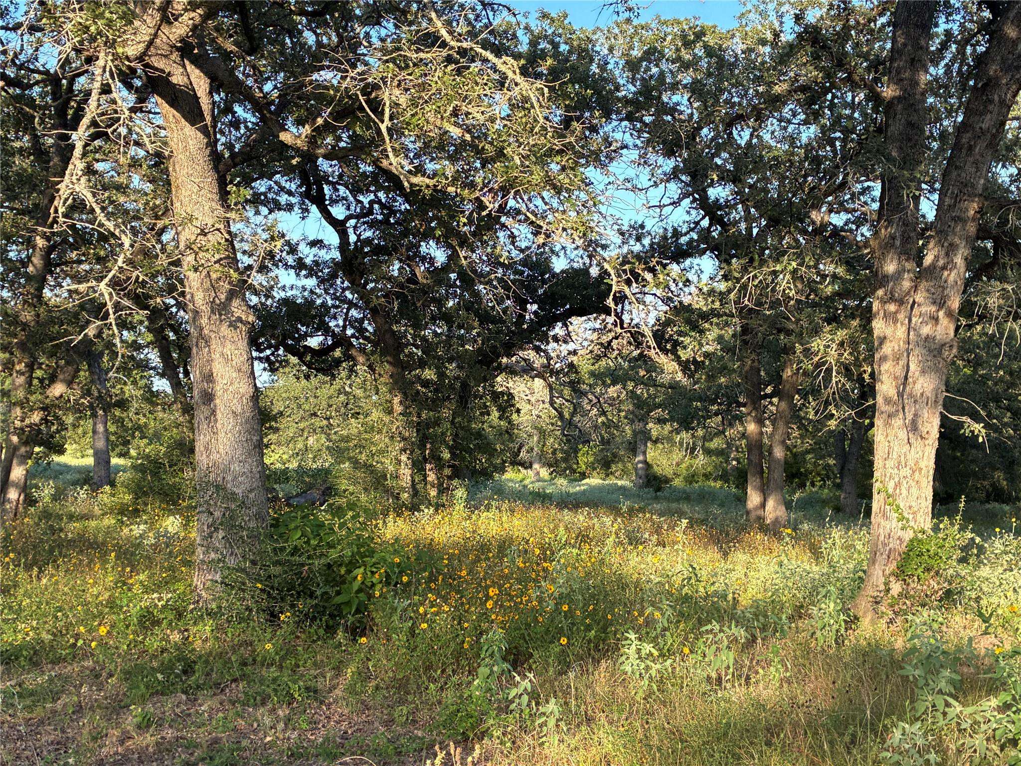 2933 County Road 457, Thorndale, TX 76577
