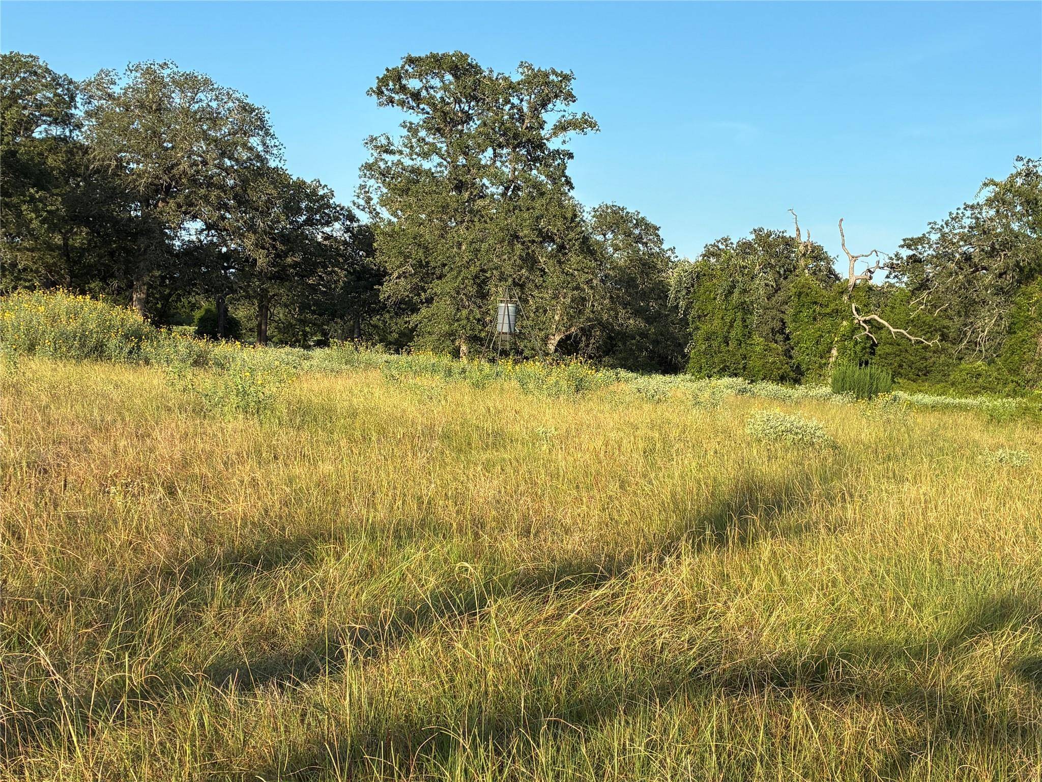 2933 County Road 457, Thorndale, TX 76577