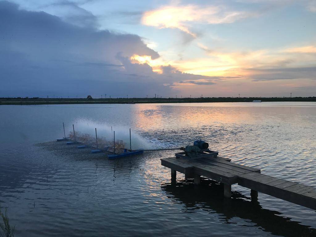 7979 Goyo Garcia RD, Raymondville, TX 78580