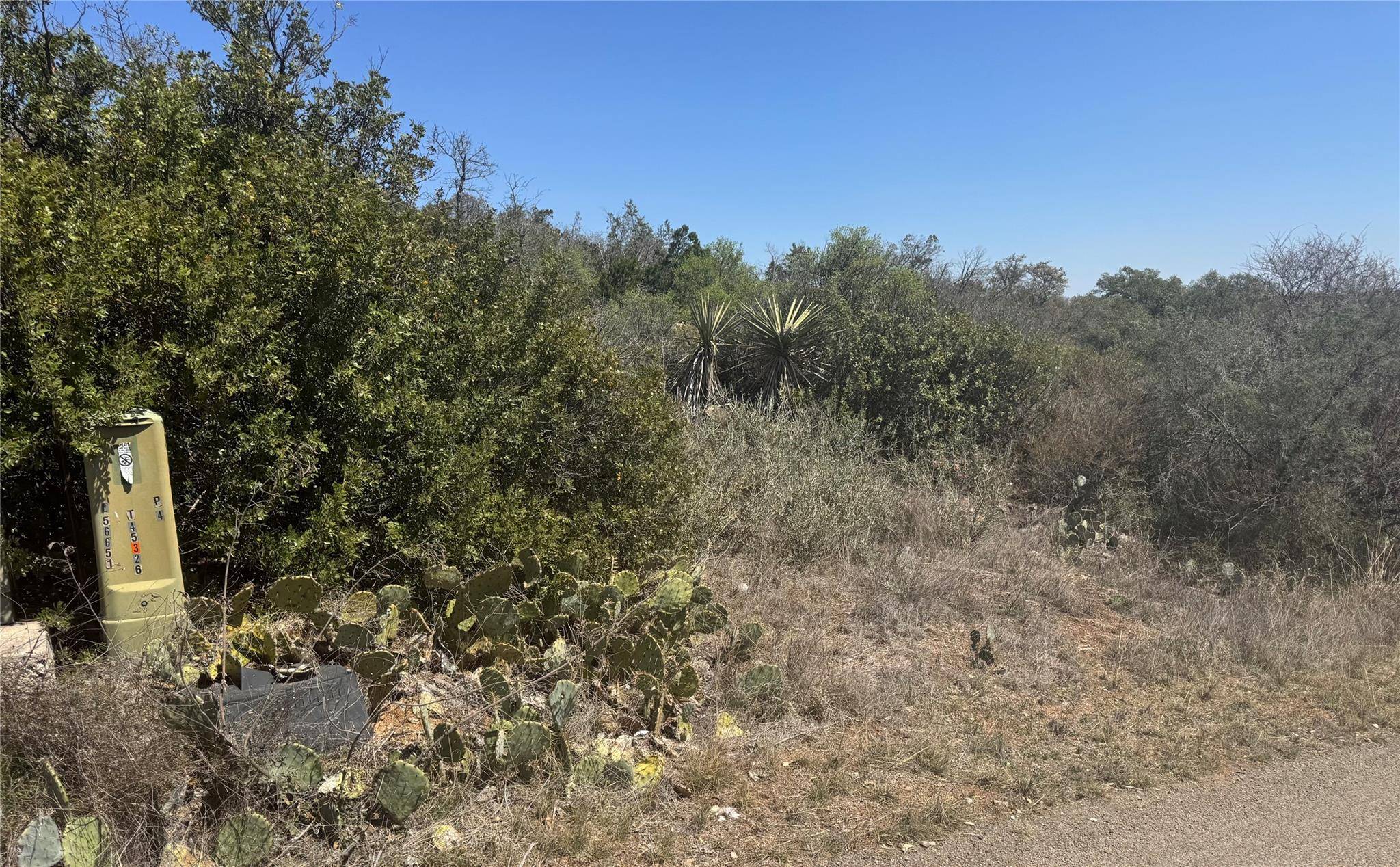 Lot 56 War Bonnet RDG, Kingsland, TX 78639