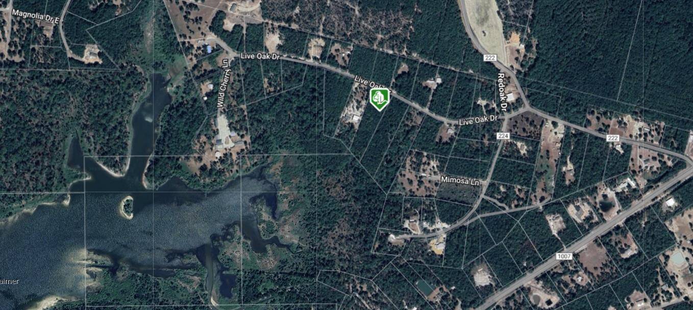 28 Live Oak DR, Browndell, TX 75931