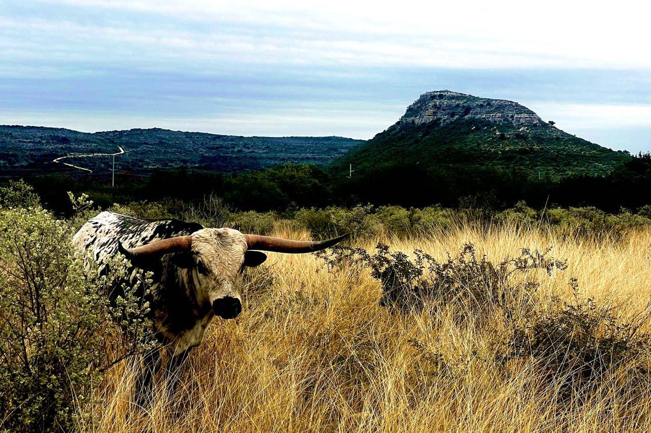00 HWY 55 LOT 1,19, Uvalde, TX 78801
