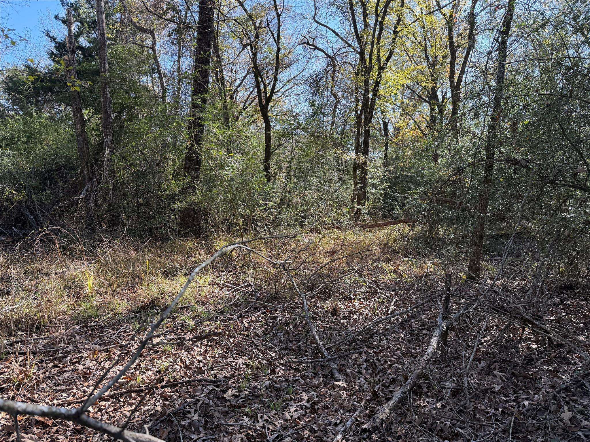 128 County Road 301 Tract 7, Fairfield, TX 75855
