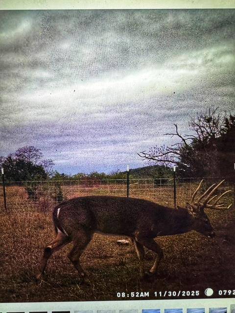 000 County Road 2699, Goldthwaite, TX 76853