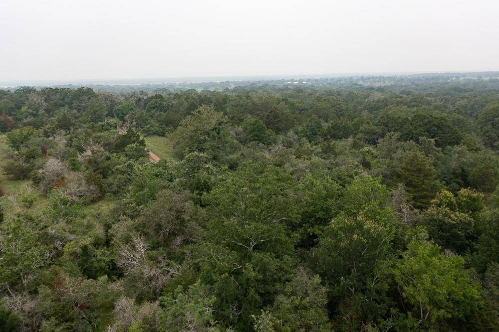 LOT 2 Private Road 4601, Waelder, TX 78959