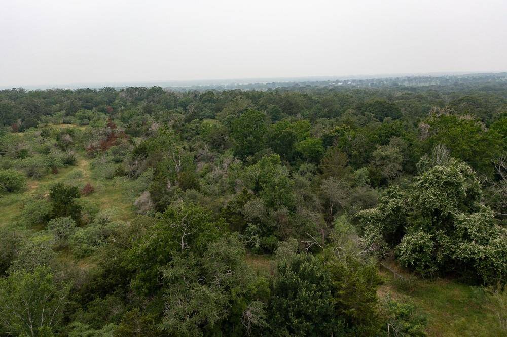 LOT 2 Private Road 4601, Waelder, TX 78959