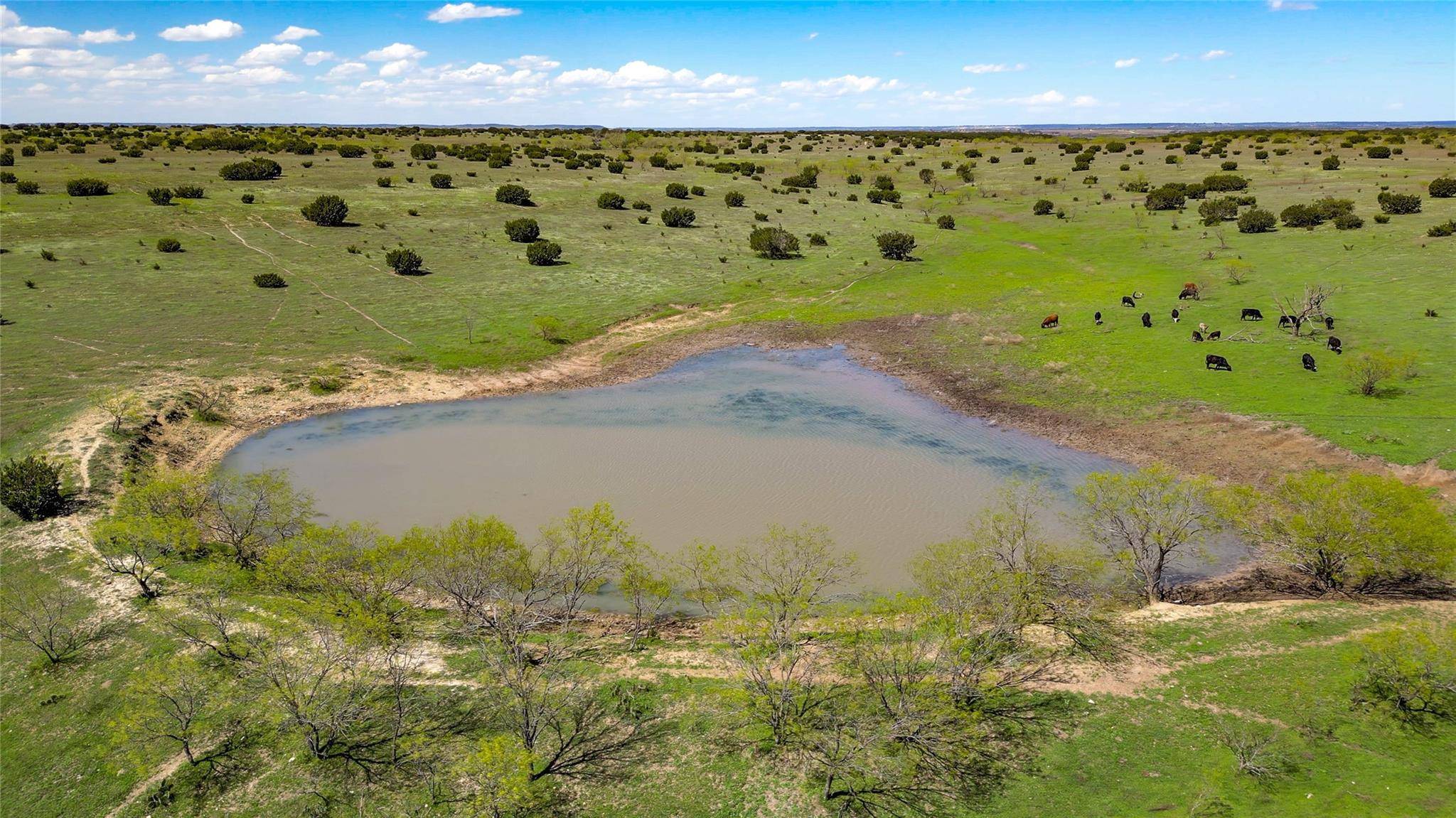 4121 County Road 2719, Evant, TX 76525
