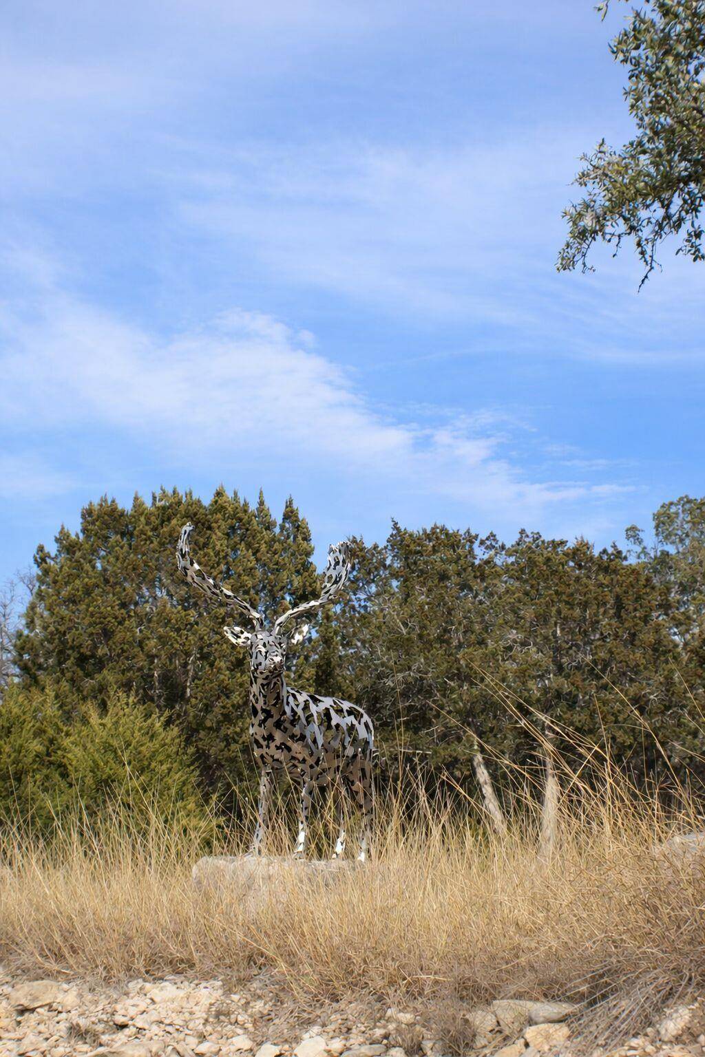 Lot 6 Gene Walker TRL, Hunt, TX 78024