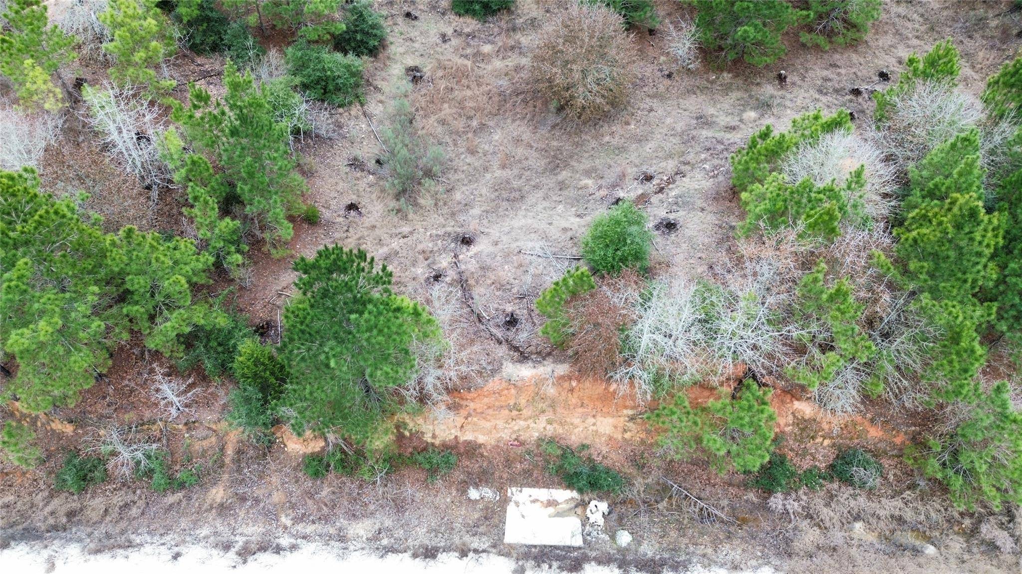 LOT 171 / R32192 Keo Kea CT, Bastrop, TX 78602