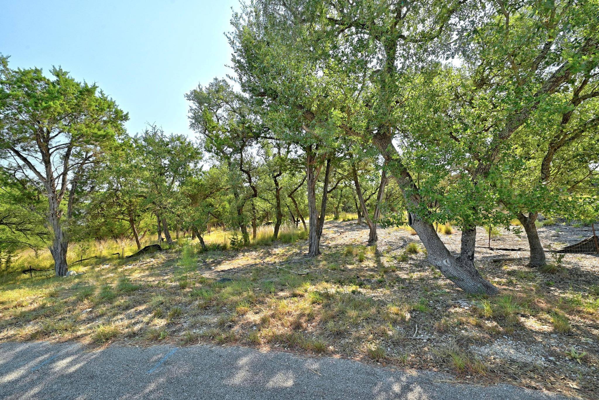 170 Night Wrangler LN, Driftwood, TX 78619