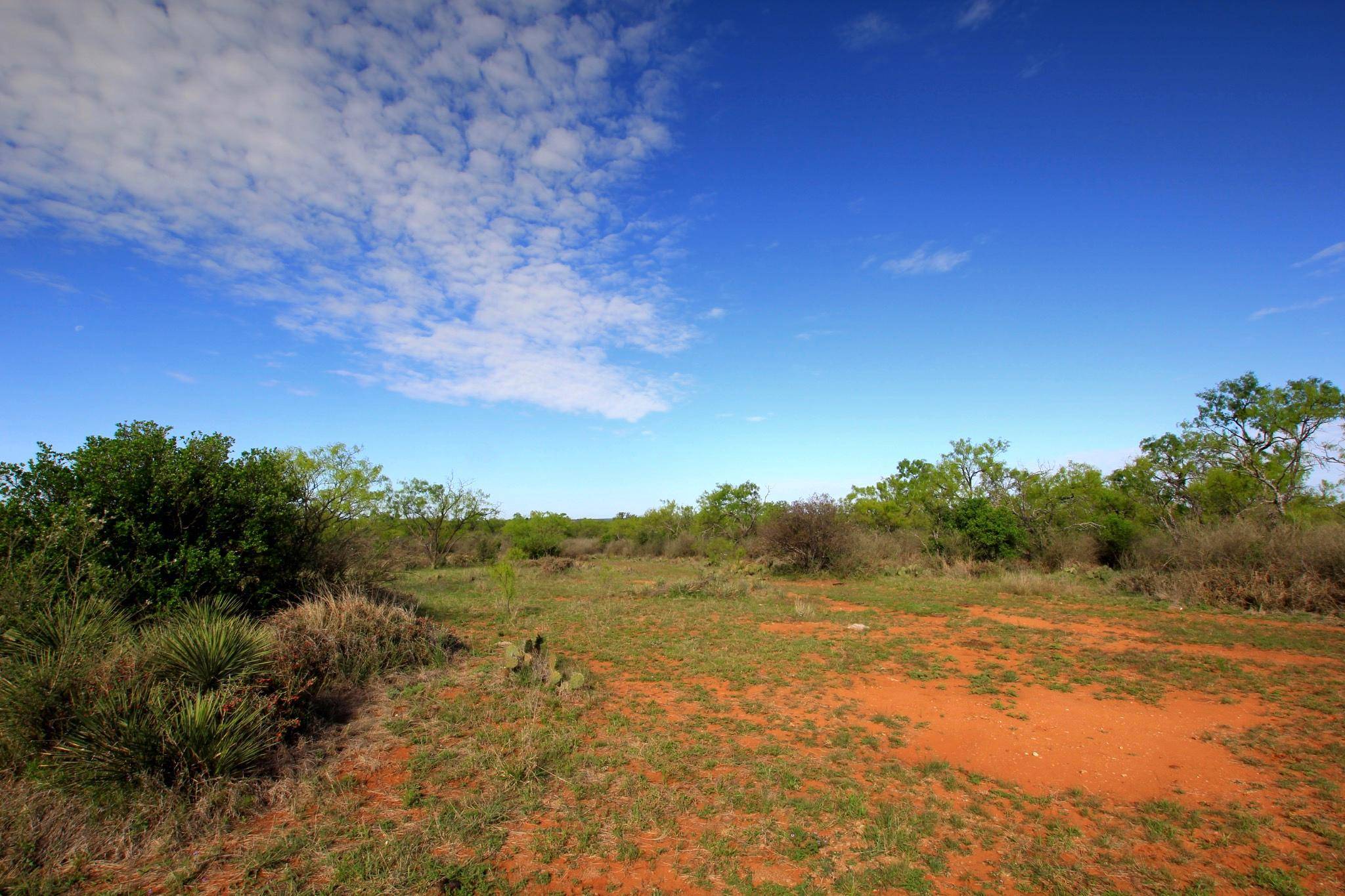 2976 Lower Willow Creek RD, Mason, TX 76820