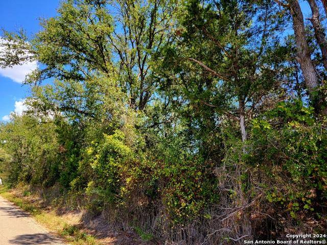 TBD Dale Ln LN, Dale, TX 78616