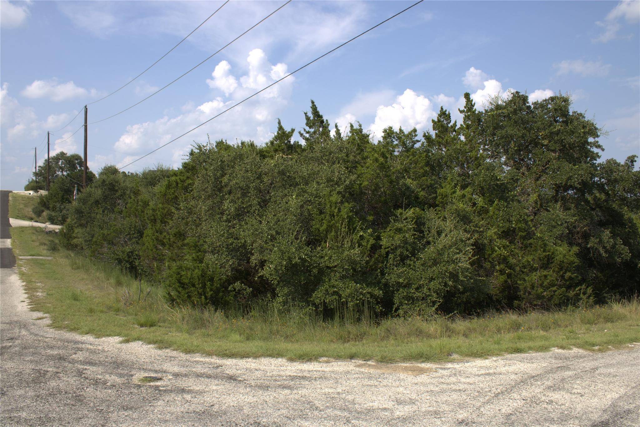 TBD William Travis, Fischer, TX 78623