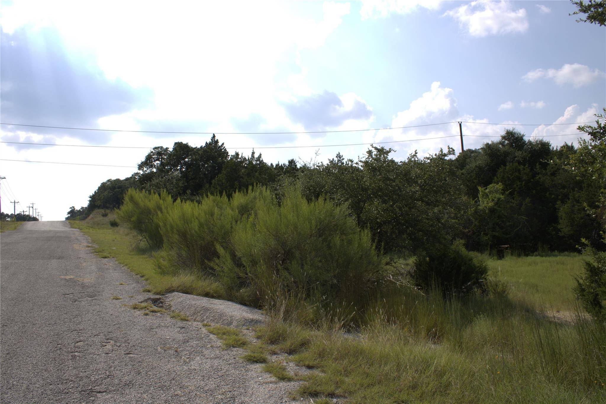 TBD William Travis, Fischer, TX 78623