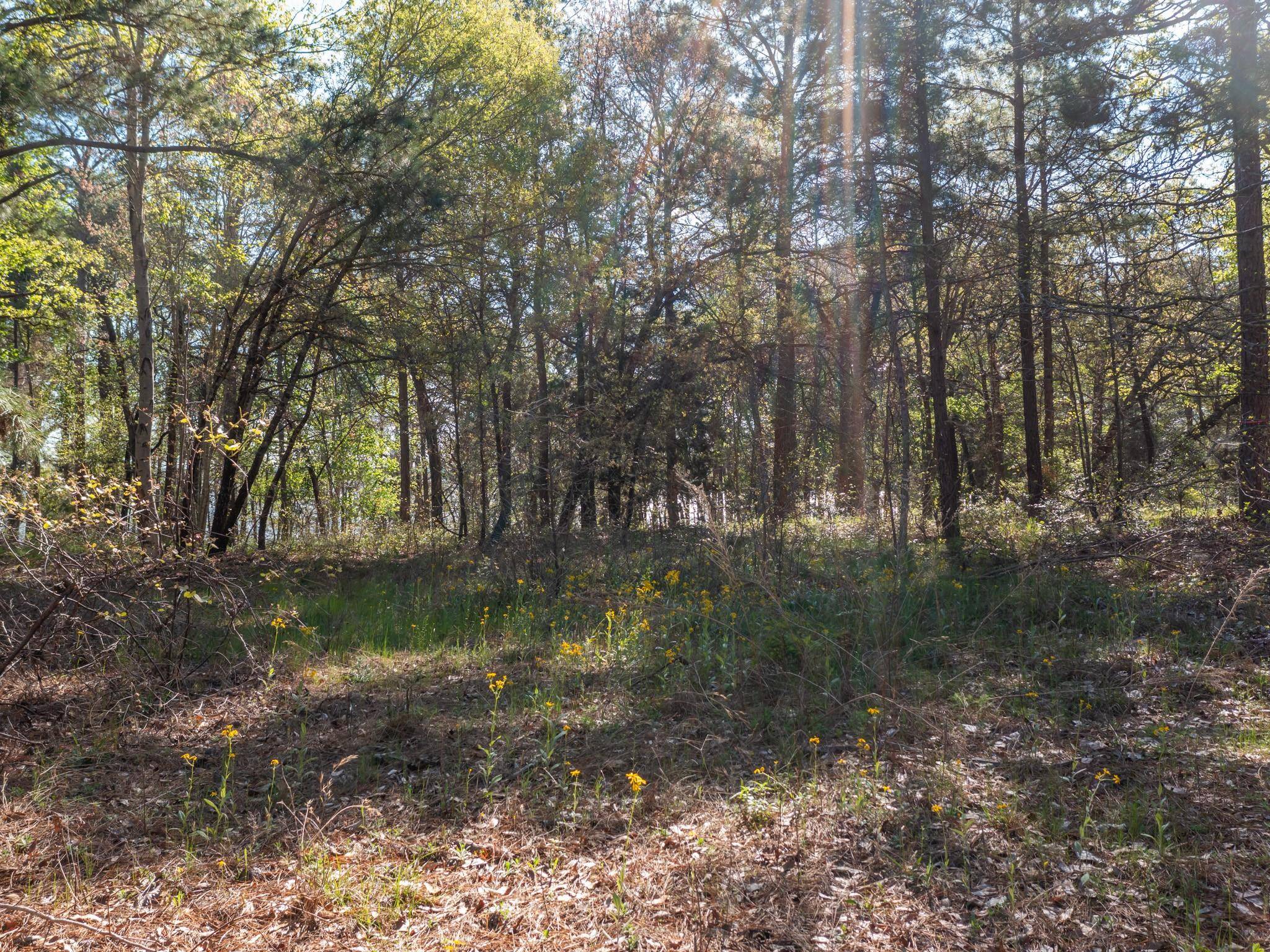 3104 Shadow Pine DR, Larue, TX 75770