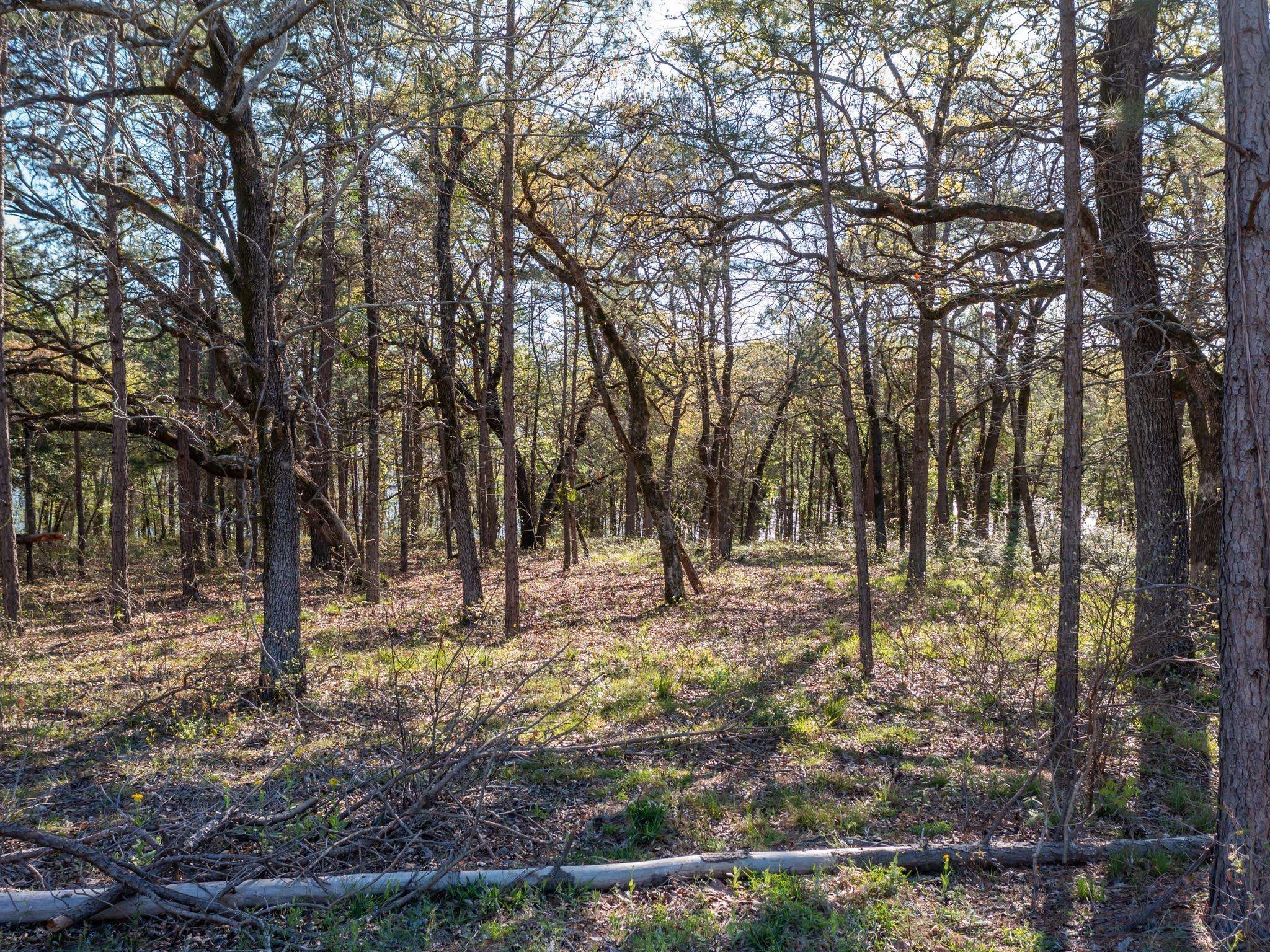3104 Shadow Pine DR, Larue, TX 75770