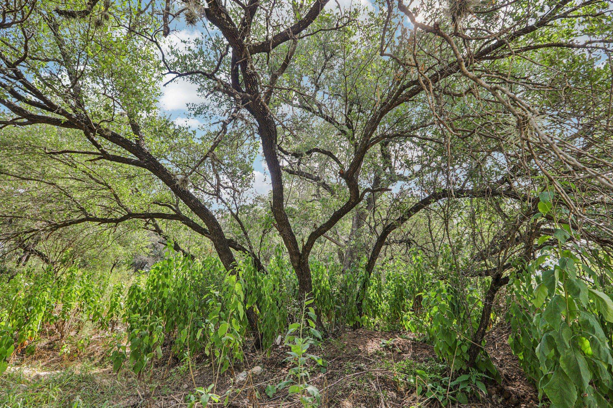 12610 River BND, Austin, TX 78732