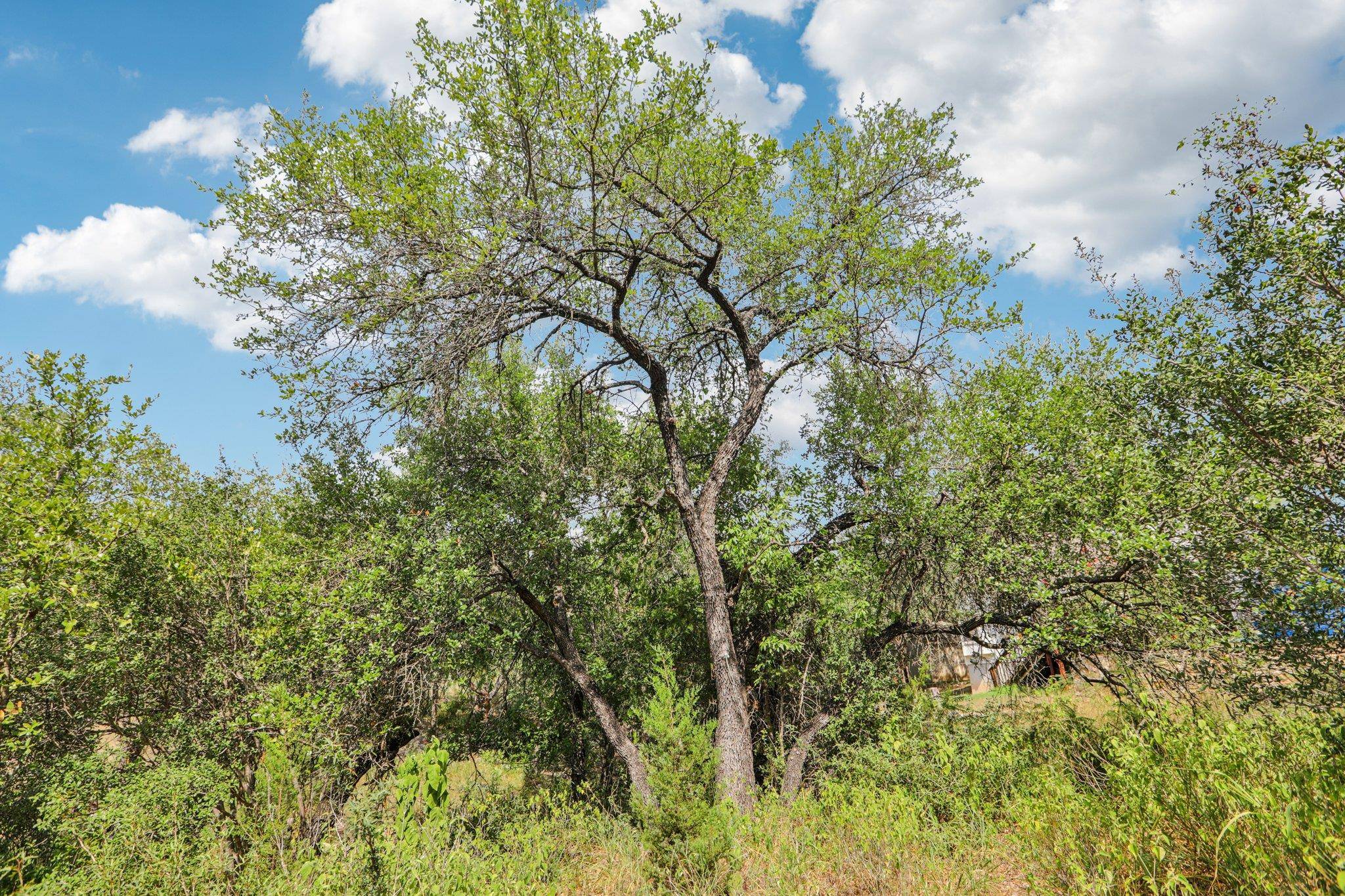 12610 River BND, Austin, TX 78732