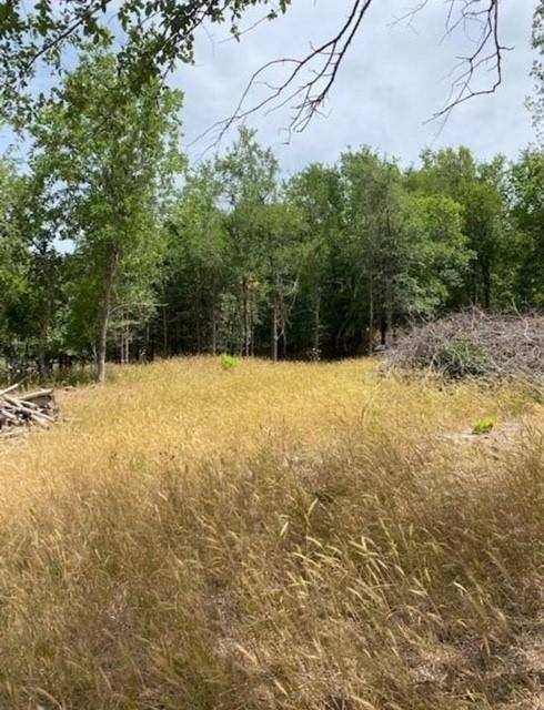 108 W Kikipua LN, Bastrop, TX 78602