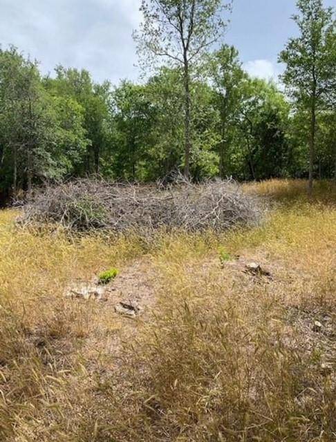 108 W Kikipua LN, Bastrop, TX 78602