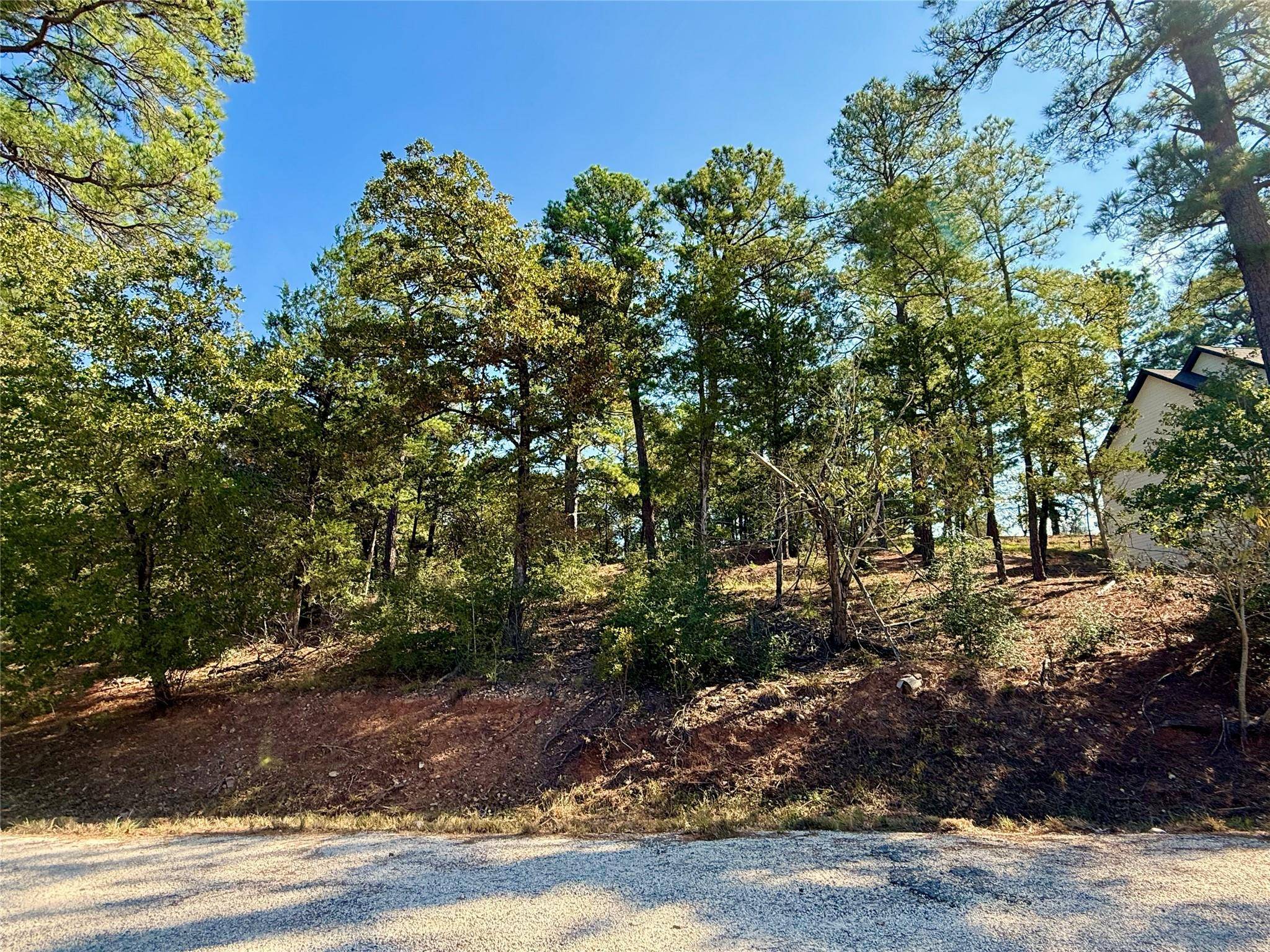 109 and 115 Olomana CT, Bastrop, TX 78602