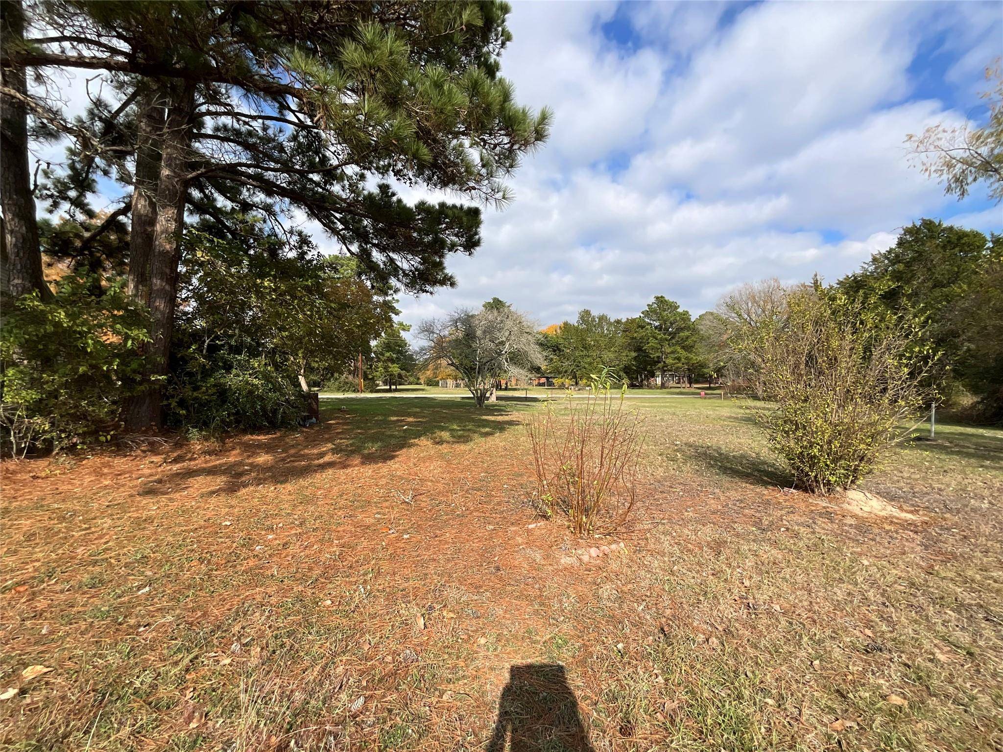 118 Shore Front DR, Bastrop, TX 78602