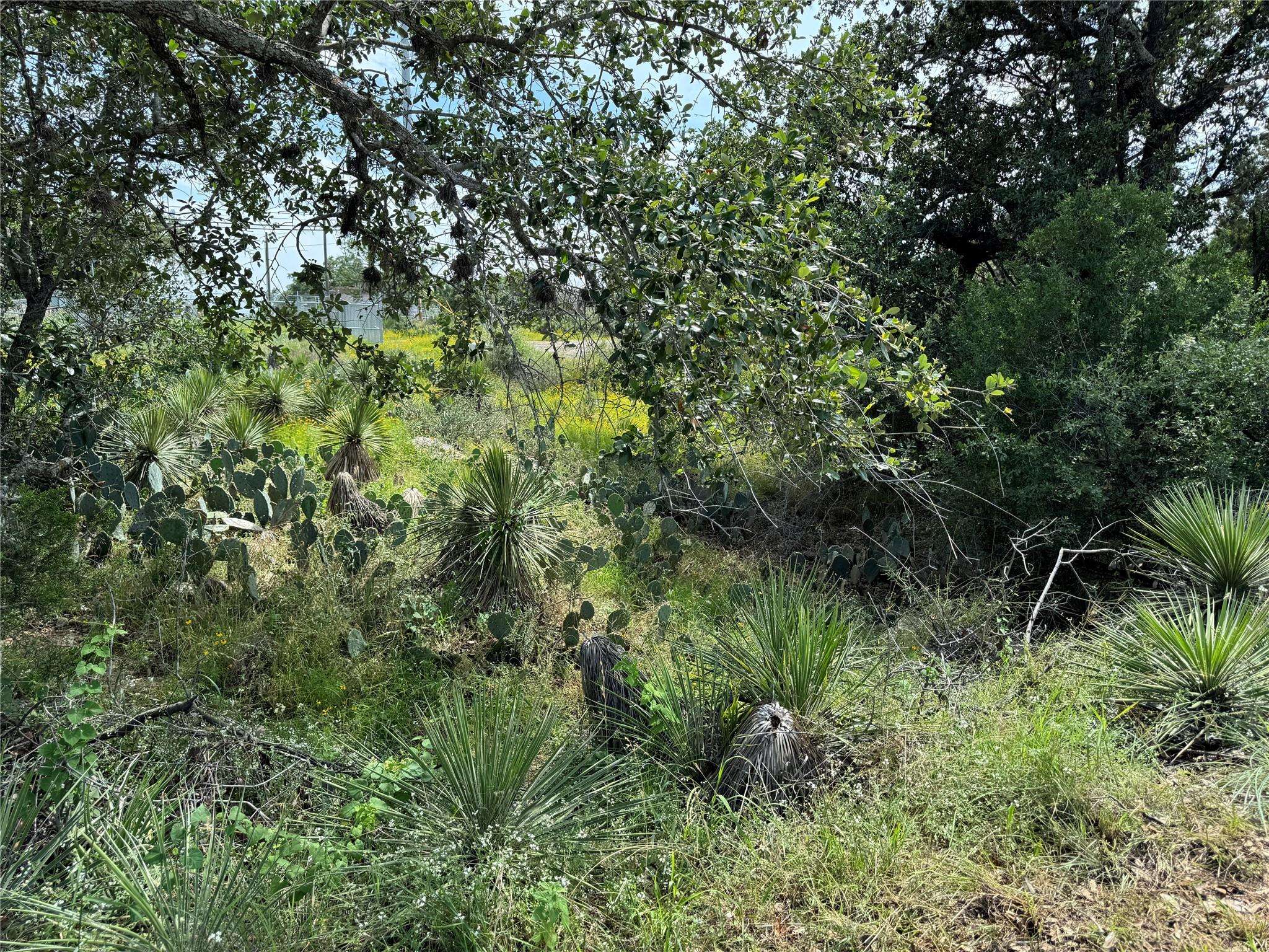 PID 17064 Sweetbriar DR, Granite Shoals, TX 78654