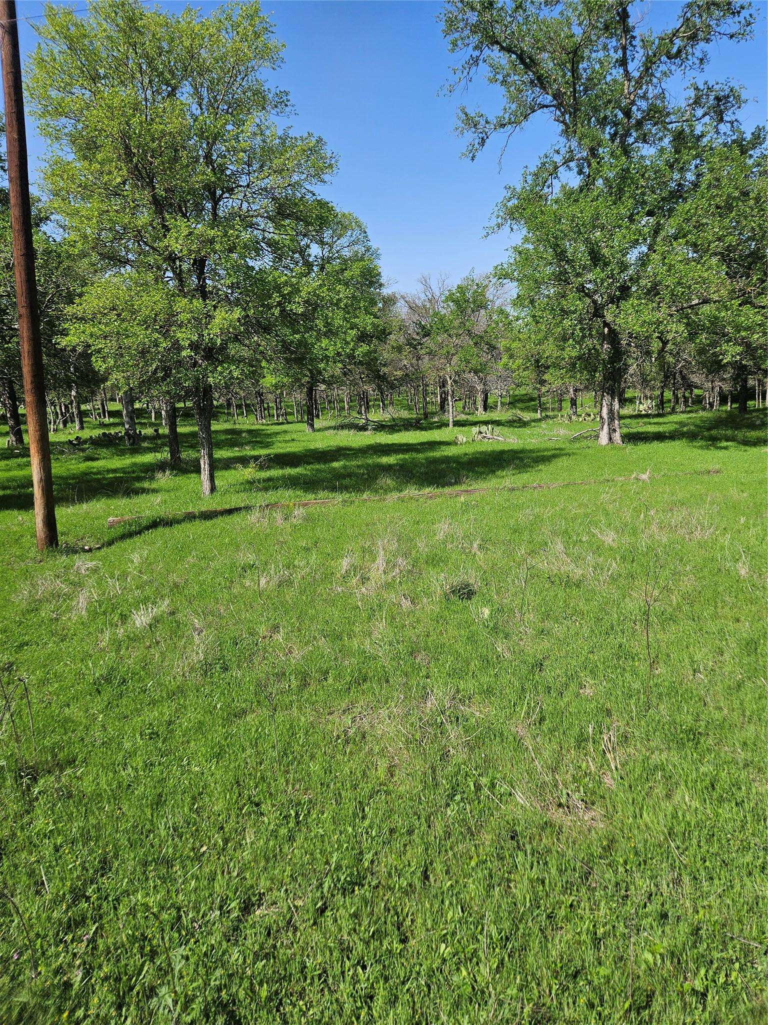 1988 CR 116 RD, Rogers, TX 76569