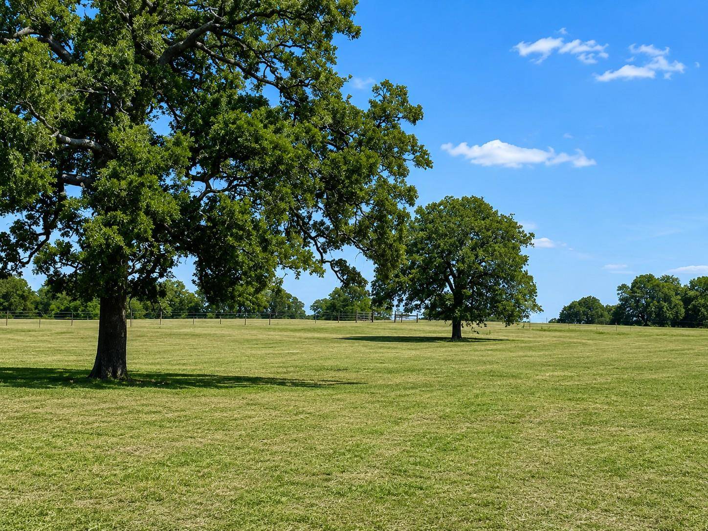 1583 S Us Highway 77 HWY, Giddings, TX 78942
