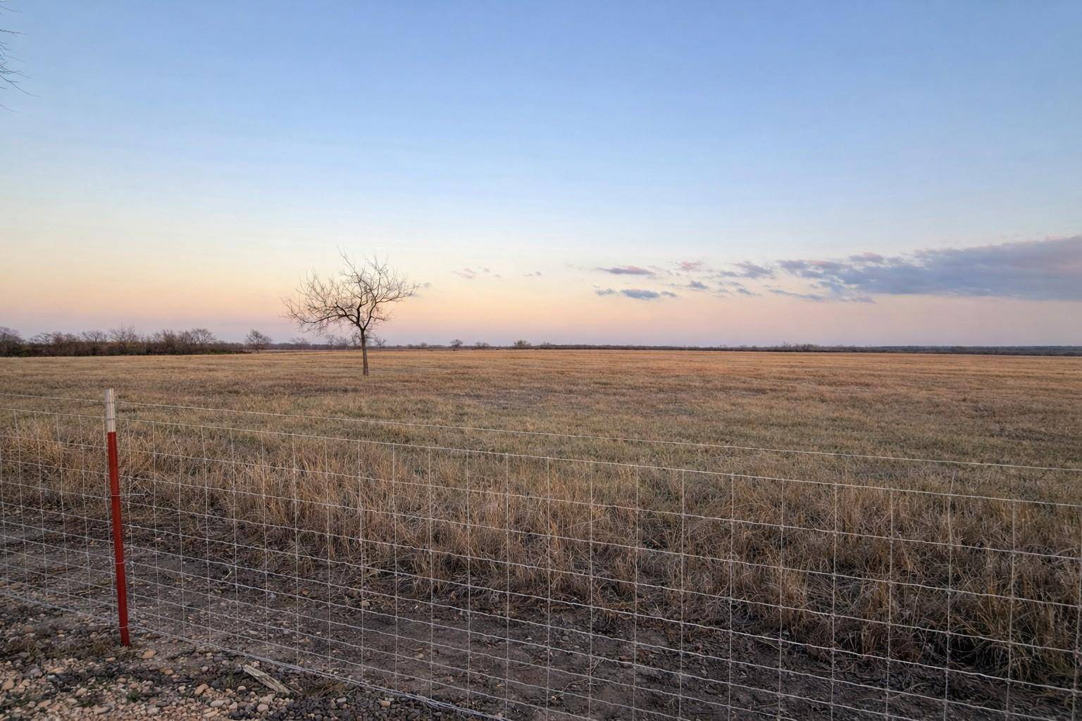 TBD County Road 116, Rogers, TX 76569