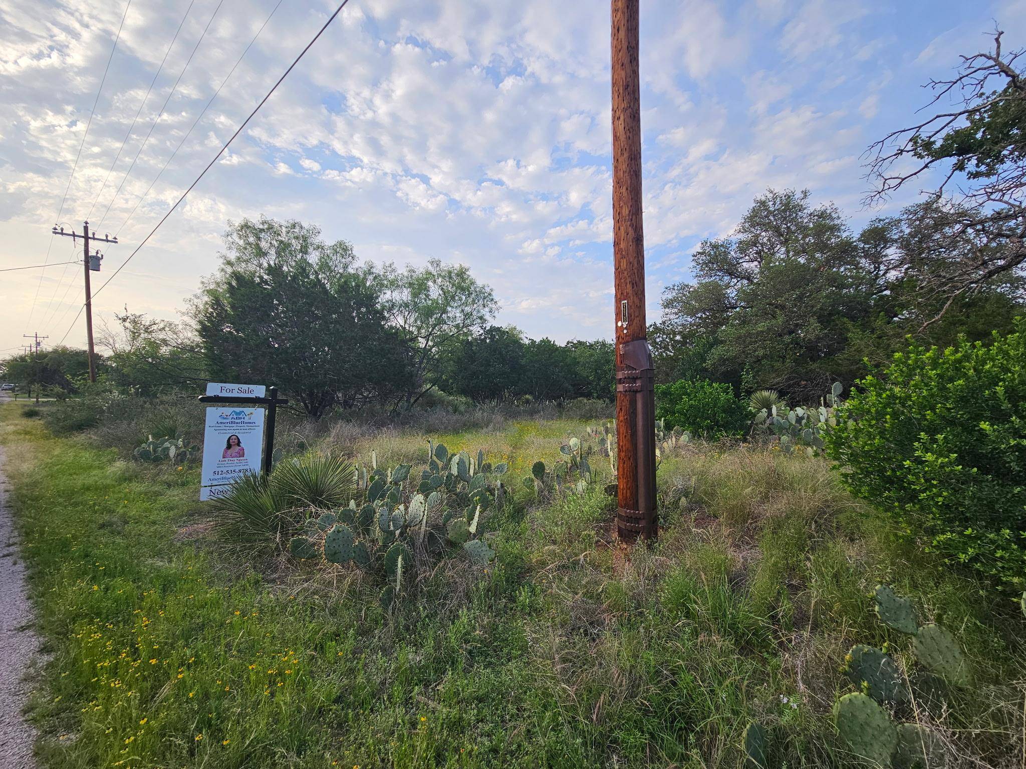 PID 17018 Sweetbriar DR, Granite Shoals, TX 78654