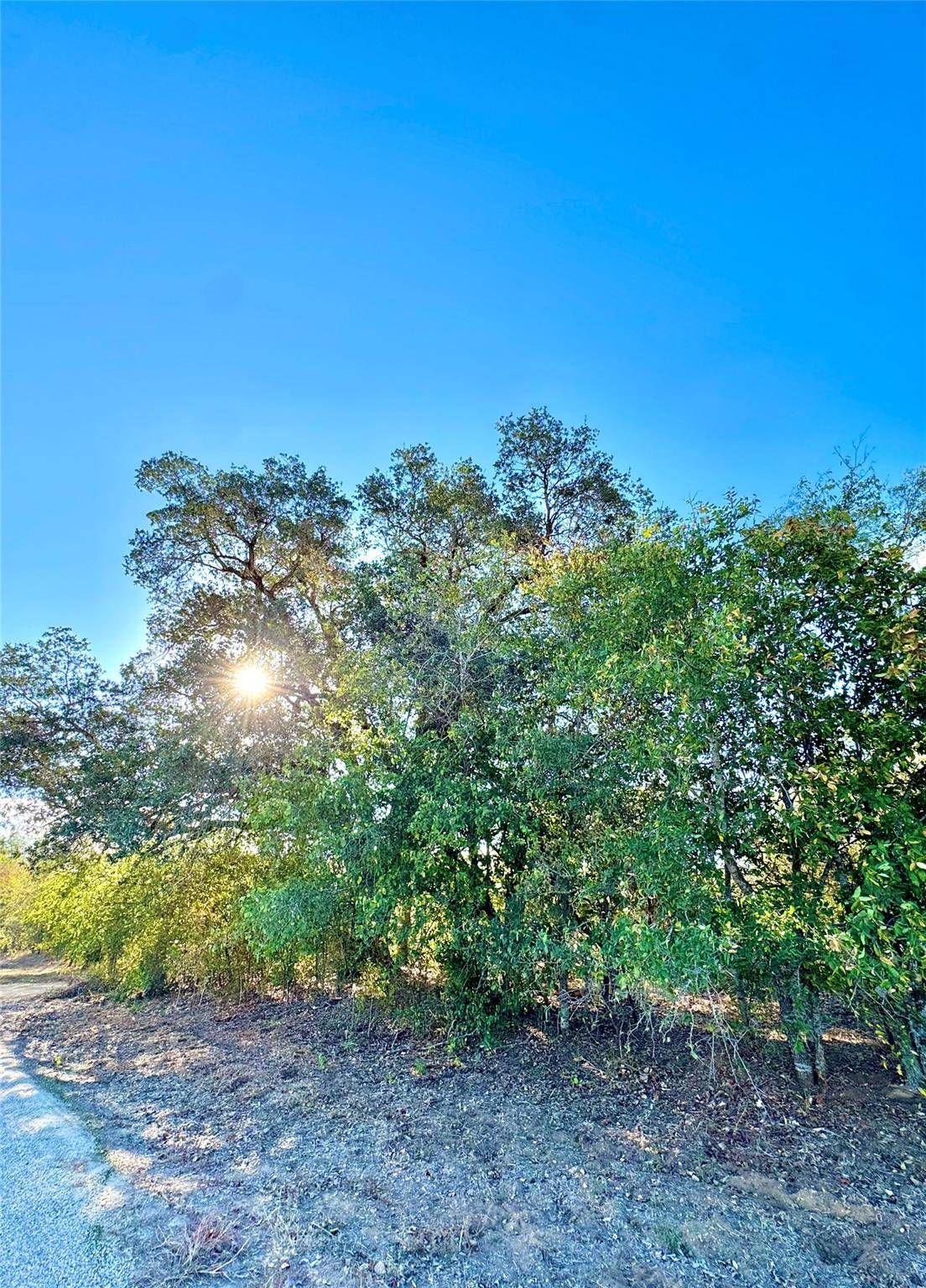6052 Tenney Creek RD, Luling, TX 78648