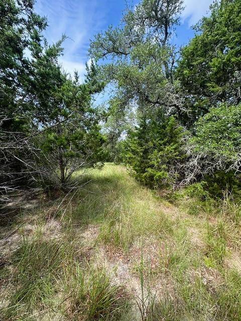 TBD LOT 3 Royal Eagle DR, Fischer, TX 78623