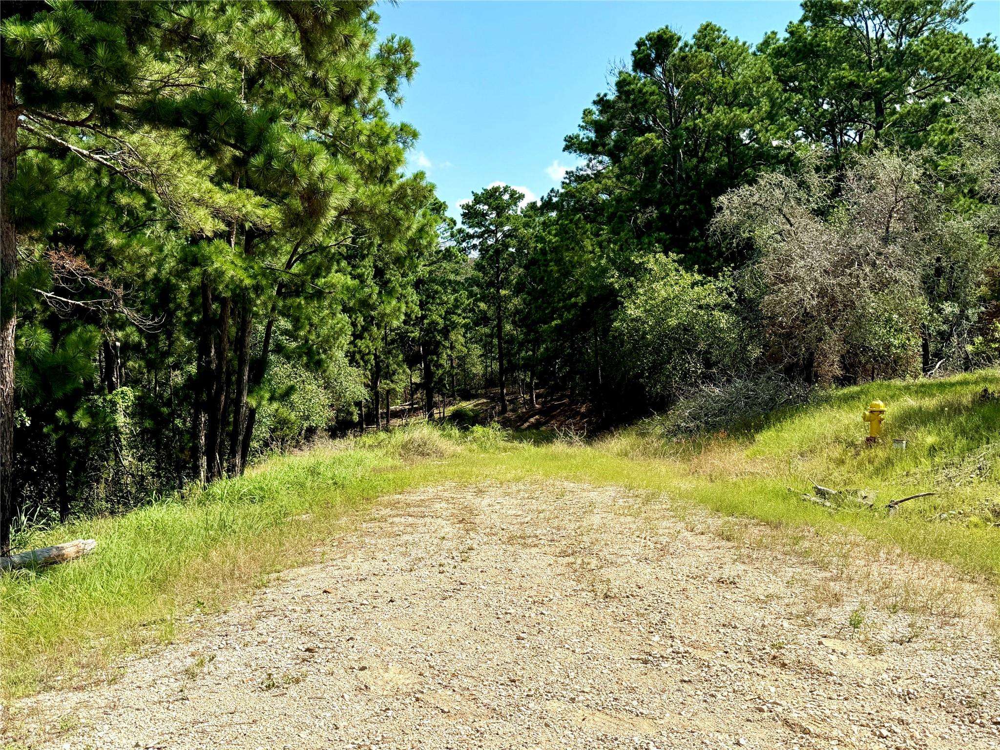 112, 114, 118 Kaimuki CT, Bastrop, TX 78602
