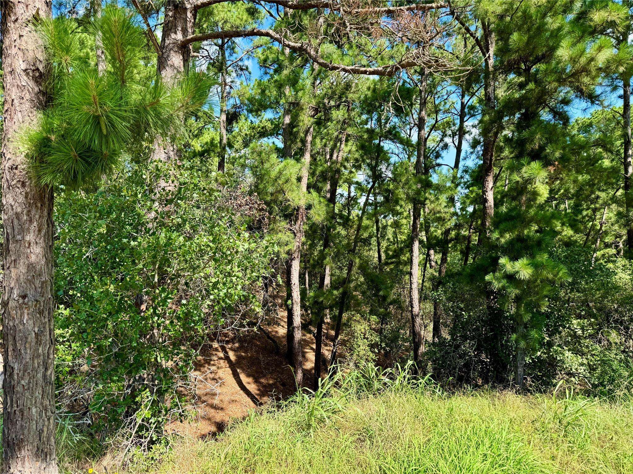 112, 114, 118 Kaimuki CT, Bastrop, TX 78602
